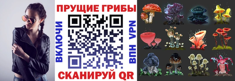 darknet состав  Ярцево  Псилоцибиновые грибы мухоморы  мега tor 
